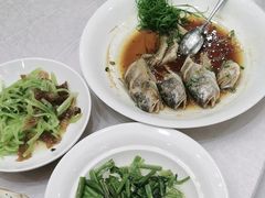 -苏启渔港(云南北路店)