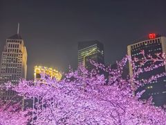 -西北湖绿化广场