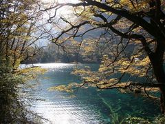 -九寨沟-树正沟