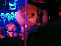 -星宿秘码(鼓浪屿老店)