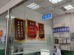 -利又安动物医院··老年病·猫科犬科·中兽医