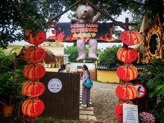 -HERRE·FARM 赫尔露营农场·团建聚会包场