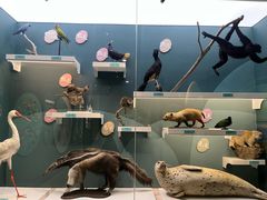 -国家自然博物馆