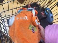 -MARSMART PETS火星宠物超市(1733店)