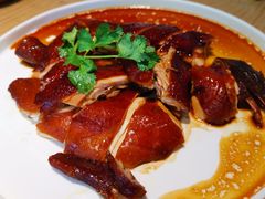 头抽豉油鸡-粤集·手工粤菜(皇庭广场店)