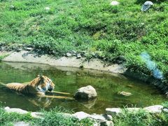 -西安秦岭野生动物园