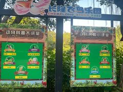 -广州长隆飞鸟乐园