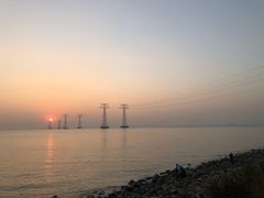 -宝安西湾红树林湿地公园