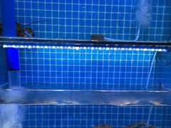 -前王院•巧克力海鲜市集餐厅(万平口店)