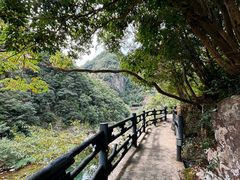 -楠溪江石桅岩