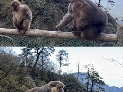 -峨眉山风景名胜区