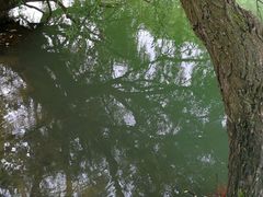 -贵阳市花溪国家城市湿地公园