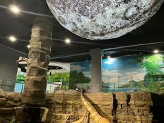 -辽宁古生物博物馆