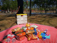 -永定河休闲森林公园