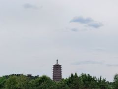 -永定河休闲森林公园