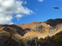 -天女山森林公园