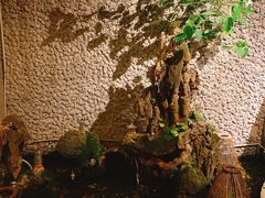 -巴厘龙虾·榜首油焖大虾(洞庭·艺术洋房店)