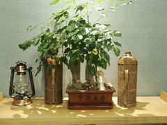 -天元坊(梁溪店)