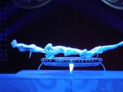 -珠海横琴长隆《卡卡虎奇遇记》