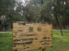 -关林