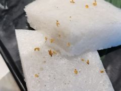 -点都德·毕德寮