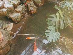 -聚缘堂·海鲜私房菜(松岭路店)