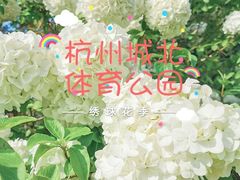 -杭州城北体育公园