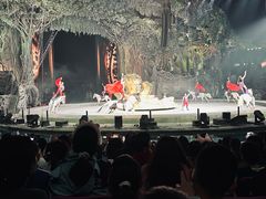 -广州长隆国际大马戏