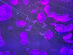 -波塞冬旅游度假区