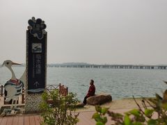 -丁香湖公园