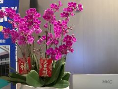 -珠海棕泉酒店(拱北口岸高铁站店)