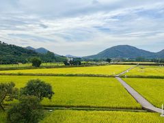 -风云岭森林公园