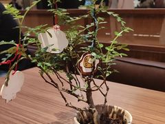 -CURRY YA 熟成咖哩專門店(深圳湾万象城店)