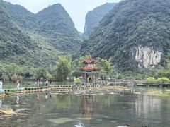 -靖西鹅泉风景区