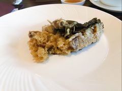 -上海红塔豪华精选酒店