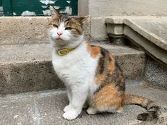 -巴金故居