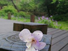 -青岛中山公园-索道售票处