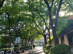 -上海财经大学(国定路校区)