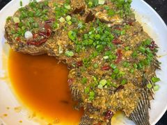 -草墩罗非鱼庄•野生菌•腊排骨(七星街上段店)