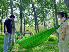 -汉长安城未央宫国家考古遗址公园