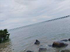 -宝安西湾红树林湿地公园