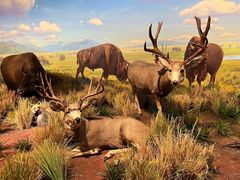 -陕西自然博物馆