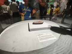 -厦门诚毅自然探索馆