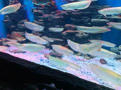 -多彩贵州城极地海洋世界