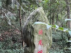 -上海佘山国家森林公园天马山园