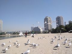 -台场海滨公园船码头