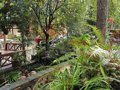 -青城甲(青城山店)