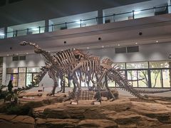 -自贡恐龙博物馆