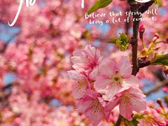 -上海辰山植物园