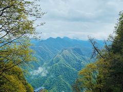 -陕西省红河谷森林公园